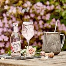 Lemonade with elderflower and rose